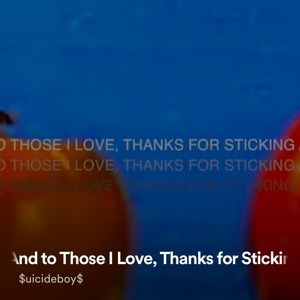 Meet your Posher, Bailey rose